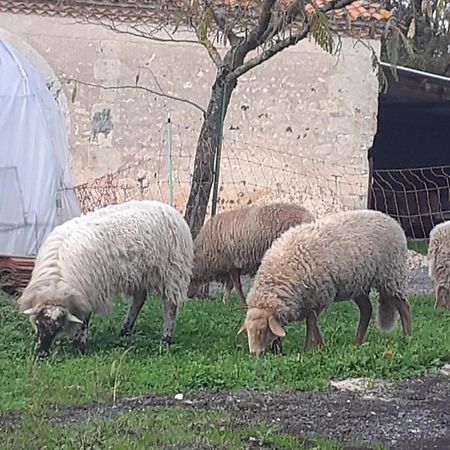 Maison De Campagne A La Ferme Pillac 외부 사진