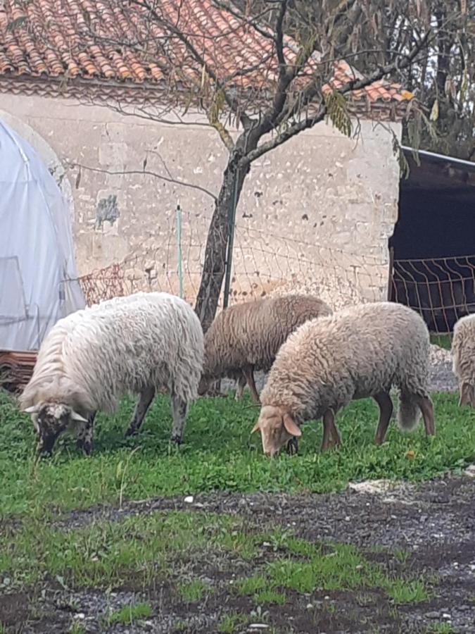 Maison De Campagne A La Ferme Pillac 외부 사진